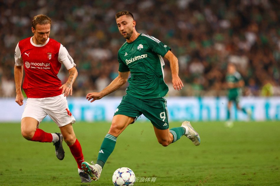 入了新的活 入了新的活